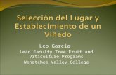 Leo García Lead Faculty Tree Fruit and Viticulture Programs Wenatchee Valley College.