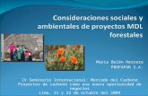 María Belén Herrera PROFAFOR S.A. IV Seminario Internacional: Mercado del Carbono Proyectos de carbono como una nueva oportunidad de negocios Lima, 21.