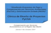 Compensación por Servicios Ecosistémicos en la Región San Martín Jueves 4 de Octubre 2007 Diseñando Esquemas de Pago y Compensación por Servicios Ambientales.