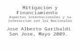 Mitigacion y Financiamiento Aspectos internacionales y su interaccion con los Nacionales Jose Alberto Garibaldi San Jose, Mayo 2009.