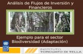 Análisis de Flujos de Inversión y Financieros Manual de Metodologías del PNUD sobre FI&F: Adaptación Ejemplo para el sector Biodiversidad (Adaptación)