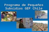 Programa de Pequeños Subsidios GEF Chile. Estrategia del PPS Chile en la transición Buscar financiamiento complementario : proyecto Unión Europea: proyecto.