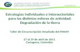 Estrategias individuales e intersectoriales para las distintas esferas de actividad: Degradación de la tierra Taller de Circunscripción Ampliado del FMAM.