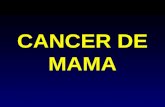 CANCER DE MAMA. EPIDEMIOLOGIA GENERAL LUGAR TOPOGRAFÍA N(%) 1Cérvix19,50634.2 2Mama 9,49016.7 3Piel 6,33011.1 4Ovario 2,012 3.5 5Estómago 1,431 2.5 6Endometrio.