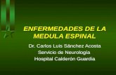 ENFERMEDADES DE LA MEDULA ESPINAL Dr. Carlos Luis Sánchez Acosta Servicio de Neurología Hospital Calderón Guardia.