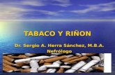 1 TABACO Y RIŇON Dr. Sergio A. Herra Sánchez, M.B.A. Nefrólogo.