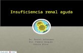 Insuficiencia renal aguda Dr. Daniel Velázquez Dra. Pamela Vázquez Alicia Ulloa.