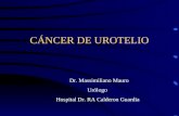 CÁNCER DE UROTELIO Dr. Massimiliano Mauro Urólogo Hospital Dr. RA Calderon Guardia.