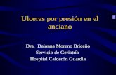 Ulceras por presión en el anciano Dra. Daianna Moreno Briceño Servicio de Geriatría Hospital Calderón Guardia.