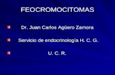 FEOCROMOCITOMAS Dr. Juan Carlos Agüero Zamora Dr. Juan Carlos Agüero Zamora Servicio de endocrinología H. C. G. Servicio de endocrinología H. C. G. U.