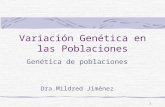 1 Variación Genética en las Poblaciones Genética de poblaciones Dra.Mildred Jiménez.