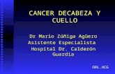 CANCER DECABEZA Y CUELLO Dr Mario Zúñiga Agüero Asistente Especialista Hospital Dr. Calderón Guardia ORL.HCG.