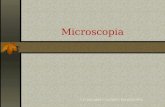 Microscopia C.D. EDUARDO CÁCERES CHOQUECUNSA. Es un instrumento que amplifica una imagen y permite la observación de mayores detalles de los posibles.