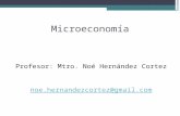 Microeconomía Profesor: Mtro. Noé Hernández Cortez noe.hernandezcortez@gmail.com.