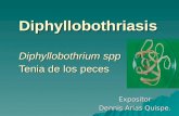 Diphyllobothriasis Diphyllobothrium spp Tenia de los peces Expositor Dennis Arias Quispe.