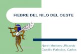 FIEBRE DEL NILO DEL OESTE North Montero,Ricardo Castillo Palacios, Carlos.