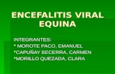 ENCEFALITIS VIRAL EQUINA INTEGRANTES: MOROTE PACO, EMANUEL MOROTE PACO, EMANUEL CAPUÑAY BECERRA, CARMEN CAPUÑAY BECERRA, CARMEN MORILLO QUEZADA, CLARA.