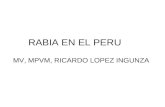 RABIA EN EL PERU MV, MPVM, RICARDO LOPEZ INGUNZA.