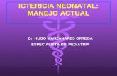 ICTERICIA NEONATAL: MANEJO ACTUAL Dr. HUGO MANZANARES ORTEGA ESPECIALISTA EN PEDIATRIA.