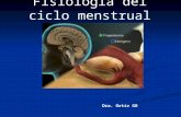 Fisiología del ciclo menstrual Dra. Ortiz GO. Sumario 1. 1.Introducción 2. 2.Regulación Neuroendocrina 3. 3.Ciclo Ovarico 3.1 Fase folicular 3.2 Ovulación.