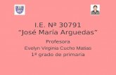 I.E. Nª 30791 José María Arguedas Profesora Evelyn Virginia Cucho Matias 1ª grado de primaria.