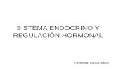 SISTEMA ENDOCRINO Y REGULACIÓN HORMONAL Profesora: Karina Brevis.