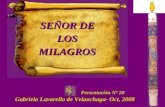 Presentación Nº 20 Presentación Nº 20 Gabriela Lavarello de Velaochaga- Oct, 2008 SEÑOR DE LOS MILAGROS.