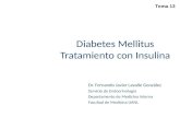 Diabetes Mellitus Tratamiento con Insulina Dr. Fernando Javier Lavalle González Servicio de Endocrinología Departamento de Medicina Interna Facultad de.