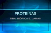 PROTEÍNAS DRA. BIÓRICA E. LAMAS. PROTEÍNAS proteis primero en importancia. Macromoléculas compuestas de polímeros de aminoácidos unidos por enlaces covalentes,