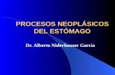 PROCESOS NEOPLÁSICOS DEL ESTÓMAGO Dr. Alberto Niderhauser García.