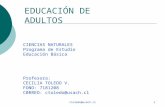 Ctoledo@usach.cl1 EDUCACIÓN DE ADULTOS CIENCIAS NATURALES Programa de Estudio Educación Básica Profesora: CECILIA TOLEDO V. FONO: 7181208 C0RREO: ctoledo@usach.cl.