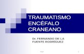 FDLF 1 TRAUMATISMO ENCÉFALO CRANEANO Dr. FERNANDO DE LA FUENTE RODRÍGUEZ