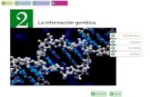 INICIOESQUEMARECURSOSINTERNET SALIRANTERIOR La información genética LECTURA INICIAL ESQUEMA RECURSOS INTERNET.