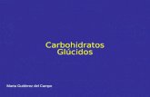 Carbohidratos Glcidos Marta Guti©rrez del Campo