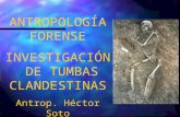 ANTROPOLOGÍA FORENSE INVESTIGACIÓN DE TUMBAS CLANDESTINAS Antrop. Héctor Soto.