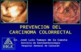 PREVENCION DEL CARCINOMA COLORRECTAL Dr. José Luis Tamayo de la Cuesta Servicio de Gastroenterología Hospital General de Culiacán Dr. José Luis Tamayo.