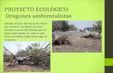 PROYECTO ECOLÓGICO: Dragones ambientalistas Debido al paso del huracán «Karl» por nuestra localidad muchos árboles fueron derribados por la fuerza del.
