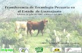 Transferencia de Tecnología Pecuaria en el Estado de Guanajuato Informe de julio del 2001 a febrero del 2002 M.C. Arturo González Orozco.