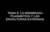TEMA 8. LA MEMBRANA PLASMÁTICA Y LAS ENVOLTURAS EXTERNAS.