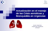 Actualización en el manejo de las Crisis asmáticas y Bronquiolitis en Urgencias Jesús Sánchez Urgencias Pediatría 17/01/07.