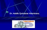 Dr. Adolfo Quintanar Altamirano.. DEMOGRAFIA Sureste de Asia: 36 millones, 140 mil casos. Este de Asia y Pacífico: 20 millones,460 mil casos. Africa del.