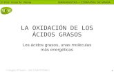 © Prof. Víctor M. Vitoria MARIANISTAS + COMPAÑÍA DE MARÍA 1 LA OXIDACIÓN DE LOS ÁCIDOS GRASOS Los ácidos grasos, unas moléculas más energéticas.
