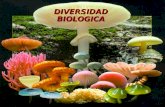 DIVERSIDAD BIOLOGICA. Concepto de Biodiversidad La biodiversidad se refiere a la variedad de la vida, incluidos los ecosistemas (terrestres y acuáticos),