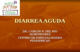 DIARREA AGUDA DR. CARLOS N. DEL RIO ALMENDAREZ CENTRO DE ESPECIALIDADES PEDIATRICAS.