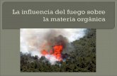 Introducción Factores : Tipos de incendio Intensidad del fuego Temperatura Consecuencias: Efectos sobre la Orgánica Consecuencias indirectas Pregunta.