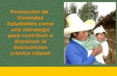 Promoción de Viviendas Saludables como una estrategia para contribuir a disminuir la desnutrición crónica infantil.