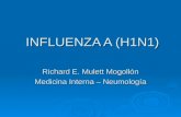 INFLUENZA A (H1N1) Richard E. Mulett Mogollón Medicina Interna – Neumología.