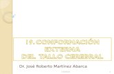Dr. José Roberto Martínez Abarca 30/01/20141. OBJETIVOS Describir las partes del tallo cerebral: médula oblonga, puente y mesencéfalo. Enumerar las principales.