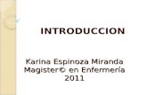 Karina Espinoza Miranda Magister© en Enfermería 2011 INTRODUCCION.