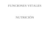 FUNCIONES VITALES NUTRICIÓN. La nutrición es una función que comprende la ingestión de alimentos o nutrientes y su posterior utilización por el organismo.